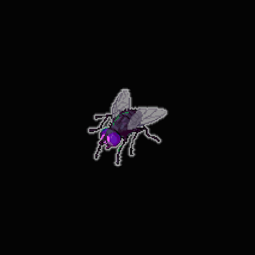 Sparkling Fly